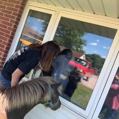 Centerville pony visit
