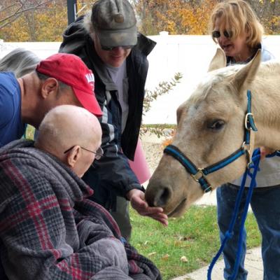 DSM Hospice horse visit 11.18