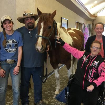 Greenfield Hospice horse visit