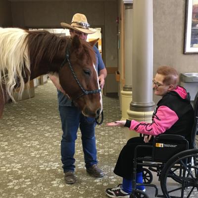Greenfield Hospice horse visit